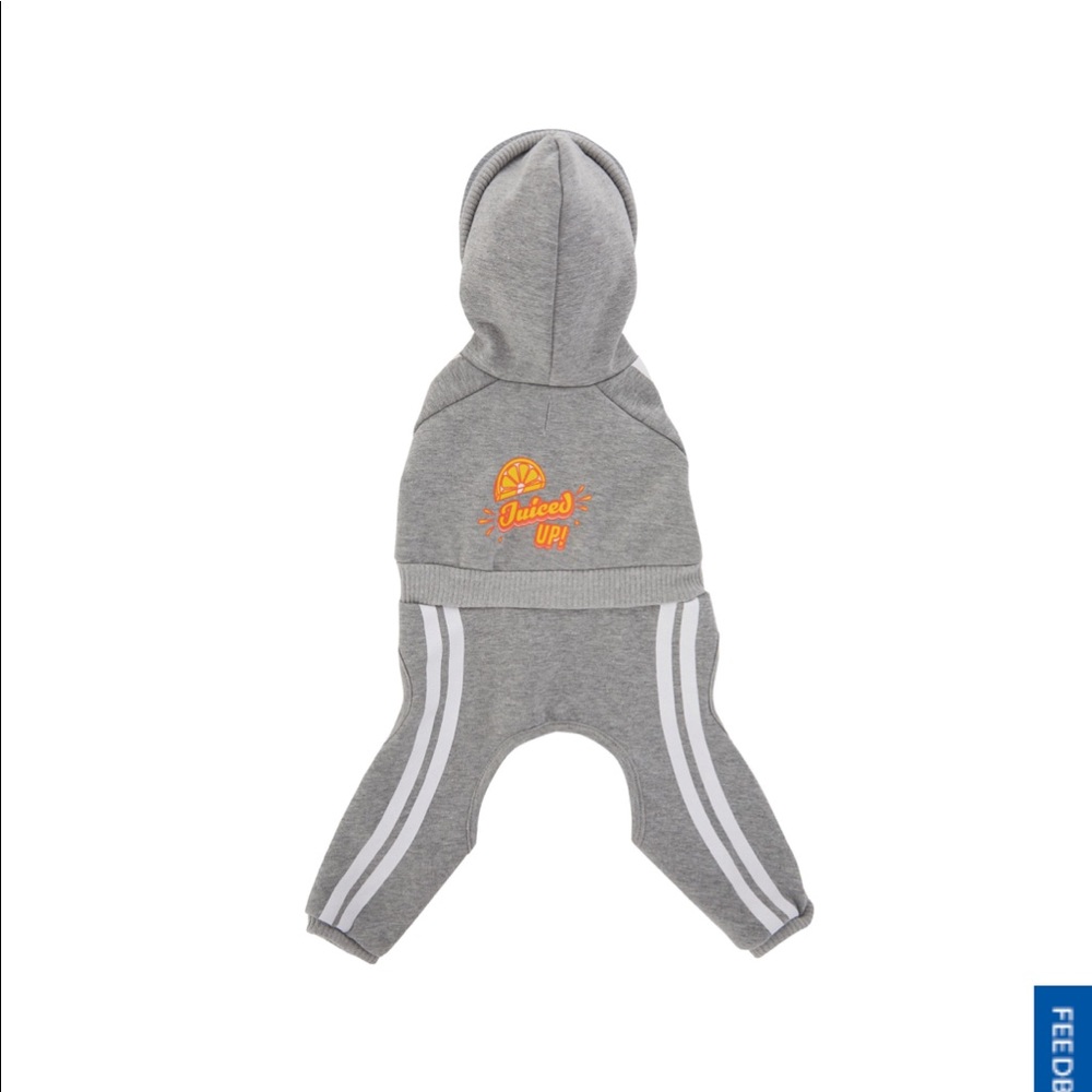 🆕 Dog clothing